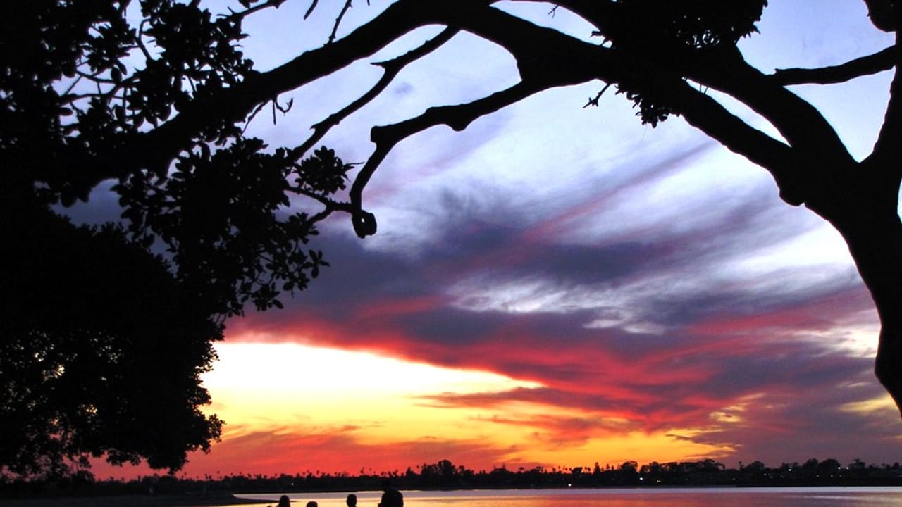 Manifesto