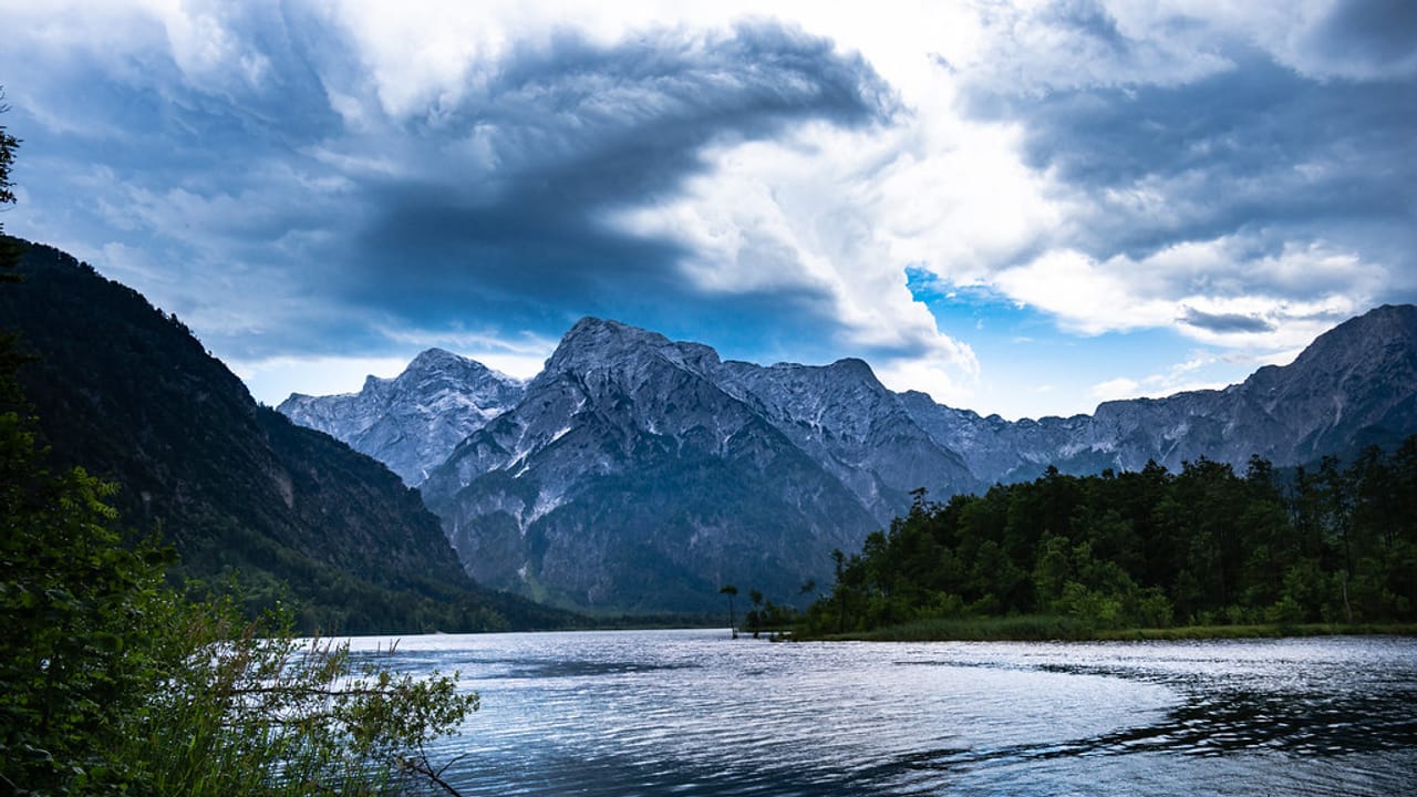 Wild Spaces
